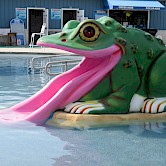 Frog Slide